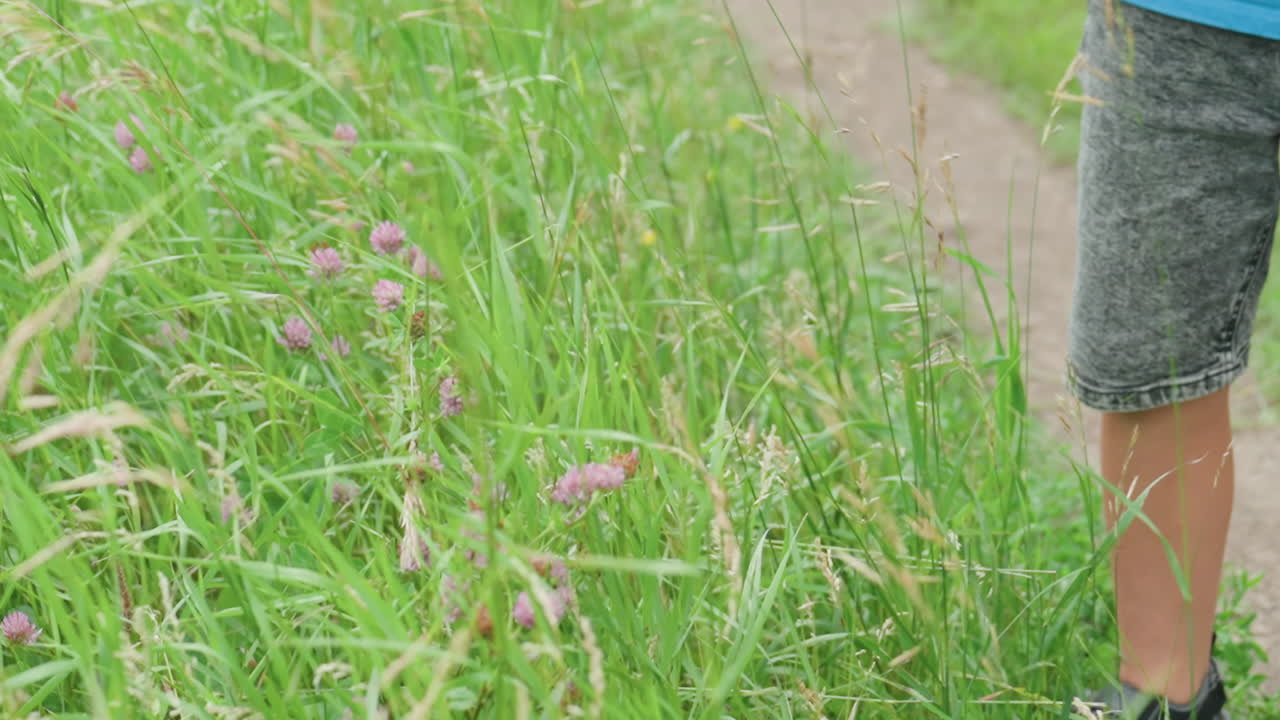 잔디가 있는 시골길 옆에 서 있는 아이, 데님 반바지와 샌들을 신고, 손에는 고리를 들고 있으며, 야생 분홍 클로버와 키 큰 줄기가 있고, 얕은 피사계 심도, 햇빛이 비치는 오후의 분위기, 사색에 잠긴 듯 멈춰 서 있음