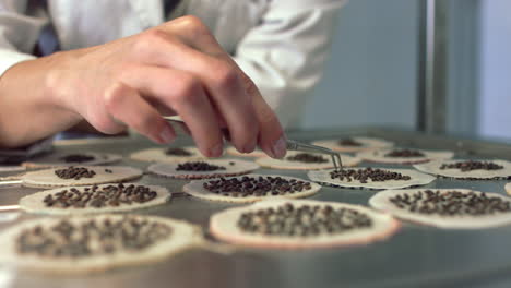 scientist putting seeds to special surfaces for further germination