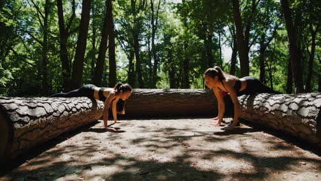 women exercising outdoors in a forest park on logs