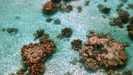 exposed bommies on shallow reef with top down drone view