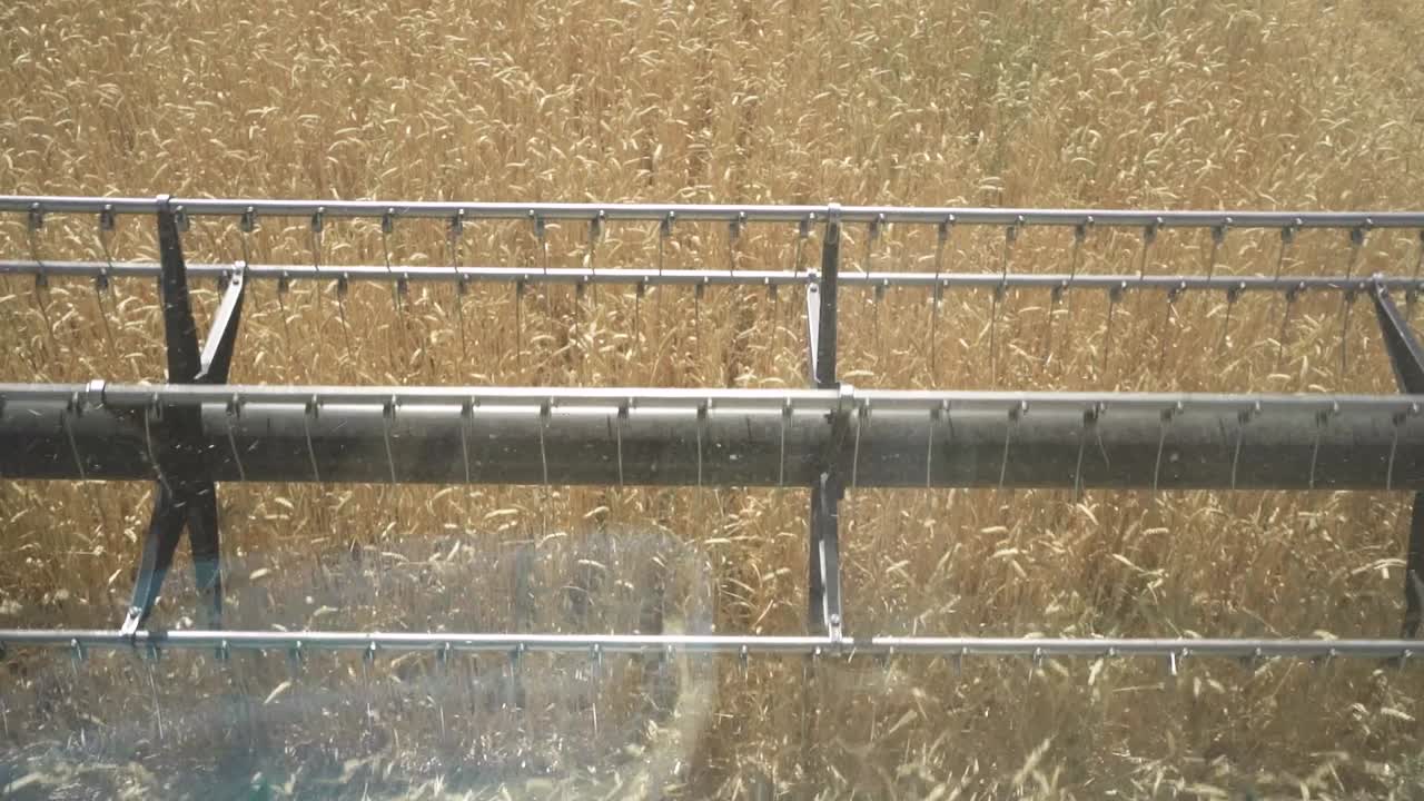 el carrete de la cosechadora en el campo