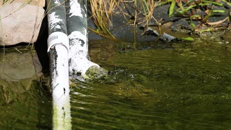 water flows from pipe into a pond