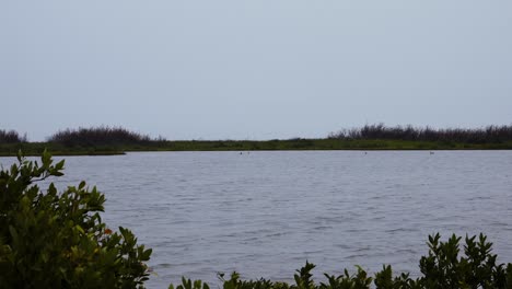 Naturspaziergang-Entlang-Der-Sumpfgebiete-Von-Fronleichnam-An-Einem-Nebligen-Tag