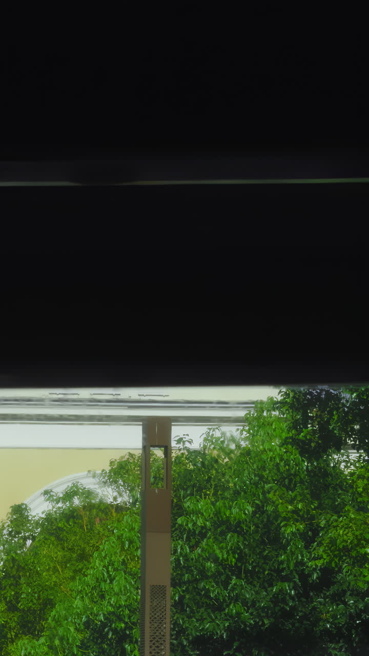 Window View of Trees