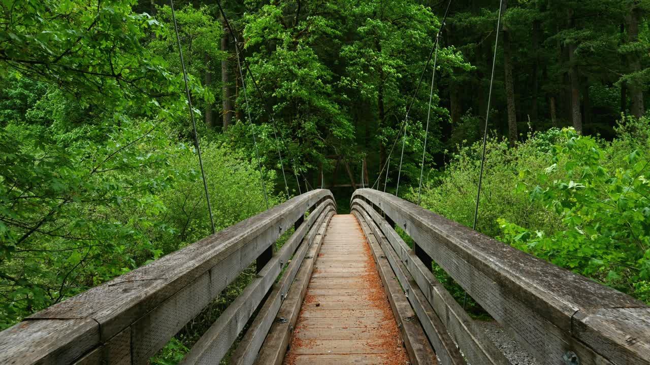 Suspension Bridge in a Lush Forest