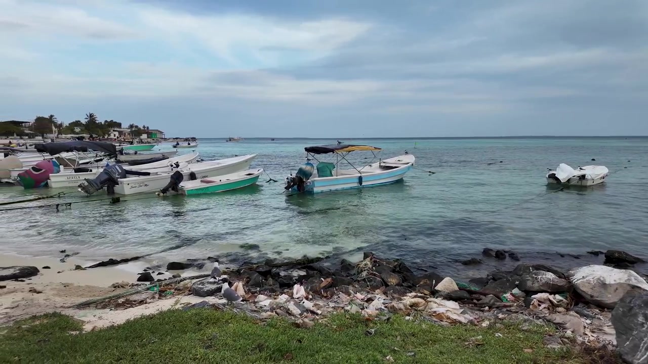 Panoramica a sinistra lungo la tranquilla costa di Gran Roque, che mostra barche da pesca tradizionali, gabbiani in volo e il sereno Mar dei Caraibi a Los Roques, Venezuela