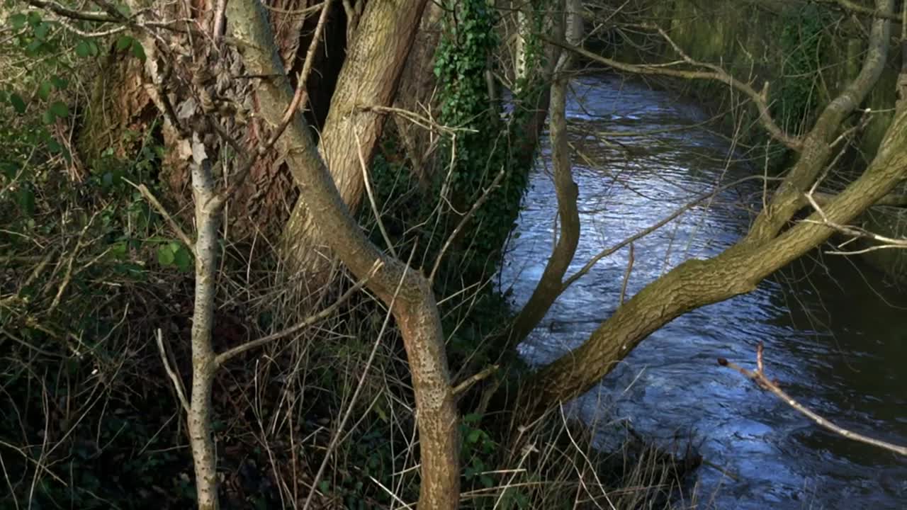 Vista del fiume Bollin che scorre sotto il ponte di Manchester Road, vicino ai Giardini della Memoria a Wilmslow, Cheshire, Inghilterra, in una soleggiata giornata invernale