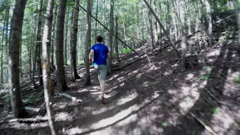 man running in the forest on a sunny day 4k