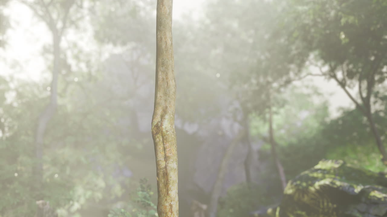 Wooden stick standing in a forest surrounded by greenery in soft light