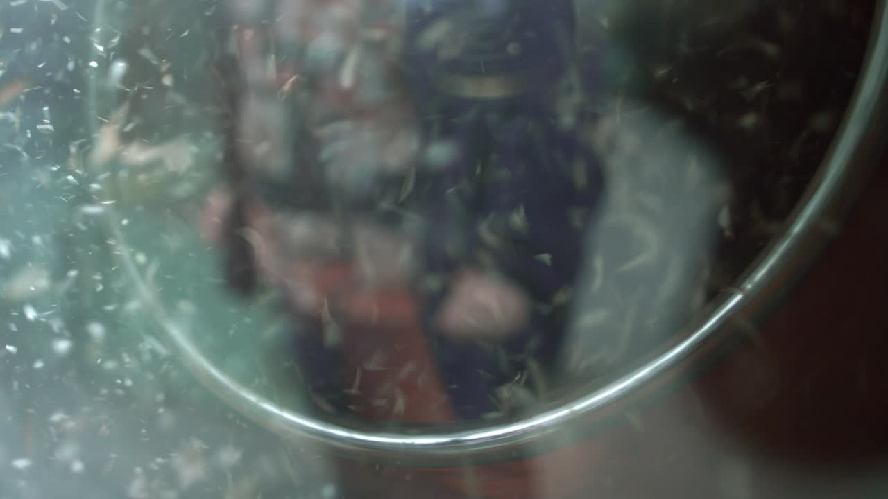 공기 흐름으로 소나무 씨 ⁇ 을 분류합니다. 공기 흐름은 씨 ⁇  공장에서 사용됩니다.