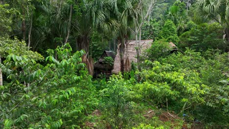 house tropical jungle in amazon, south america