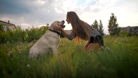 young woman is stroking dog face, looking at it and smiling, in blooming field in summer evening