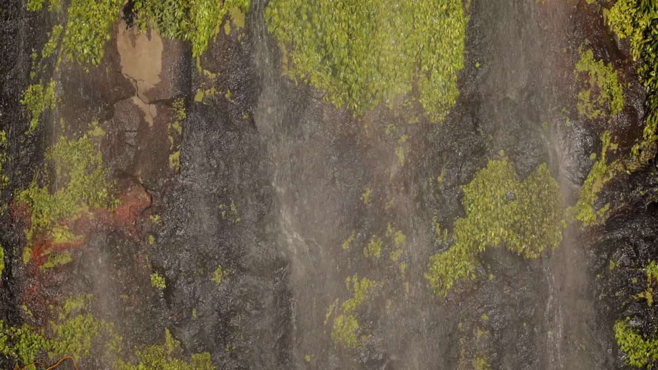 vista cercana de una sección de morans falls en la luz de la tarde, parque nacional lamington, borde escénico, queensland, australia