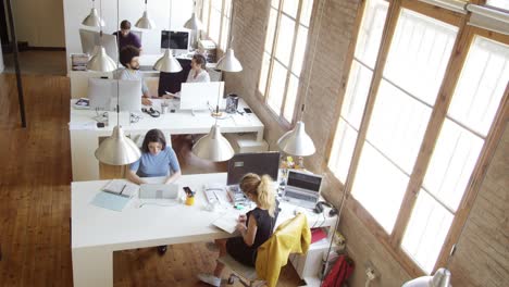 business colleagues working in new office