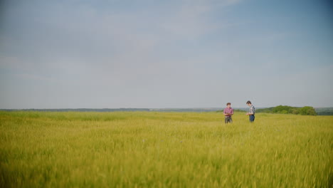 farmers inspecting wheat field