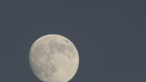 Time-lapse-motion-of-rising-full-moon-above-Oak-View-California