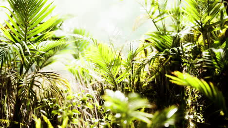 close up jungle grass and plants