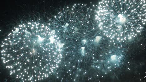 colorful fireworks exploding in the night sky. celebrations and events in bright colors.