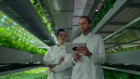 un grupo de ingenieros con abrigos blancos camina en la moderna granja vertical del futuro con portátiles y tabletas en sus manos estudiando y discutiendo los resultados del crecimiento de las plantas verdes.