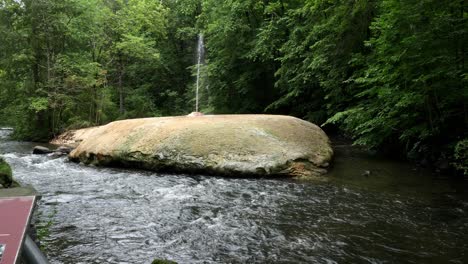 A-small-spring-shoots-up-from-a-rock-amongst-a-river-and-a-forest