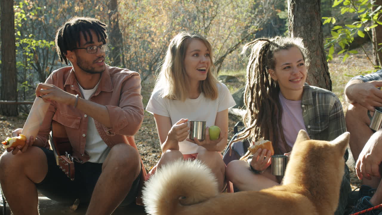 amigos disfrutando de un picnic en el bosque