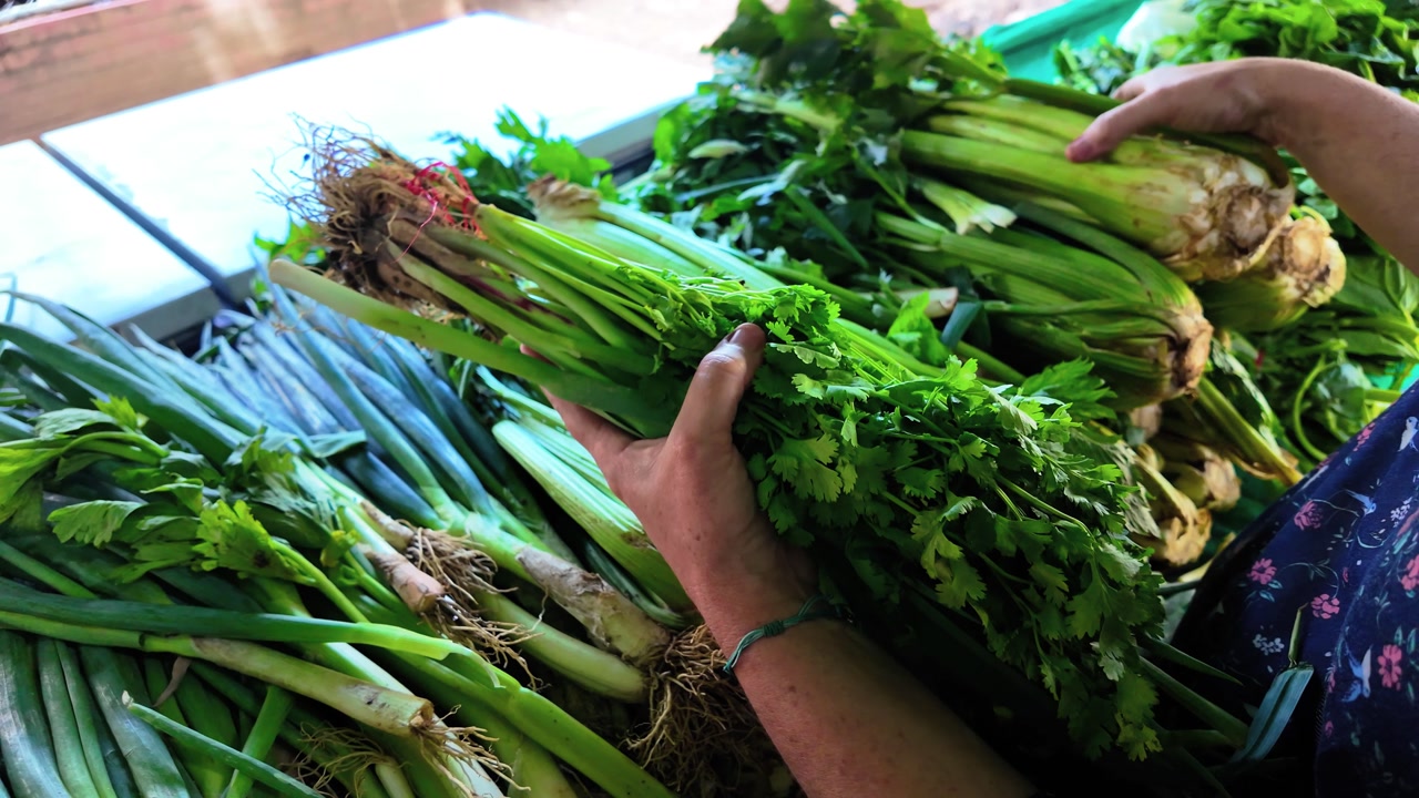 Daily Life: Selecting Cilantro and Green Onions at a Market