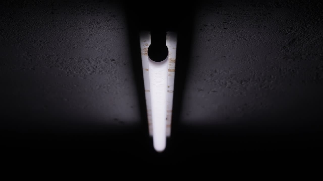 insectos voladores zumbando alrededor de una luz fluorescente blanca