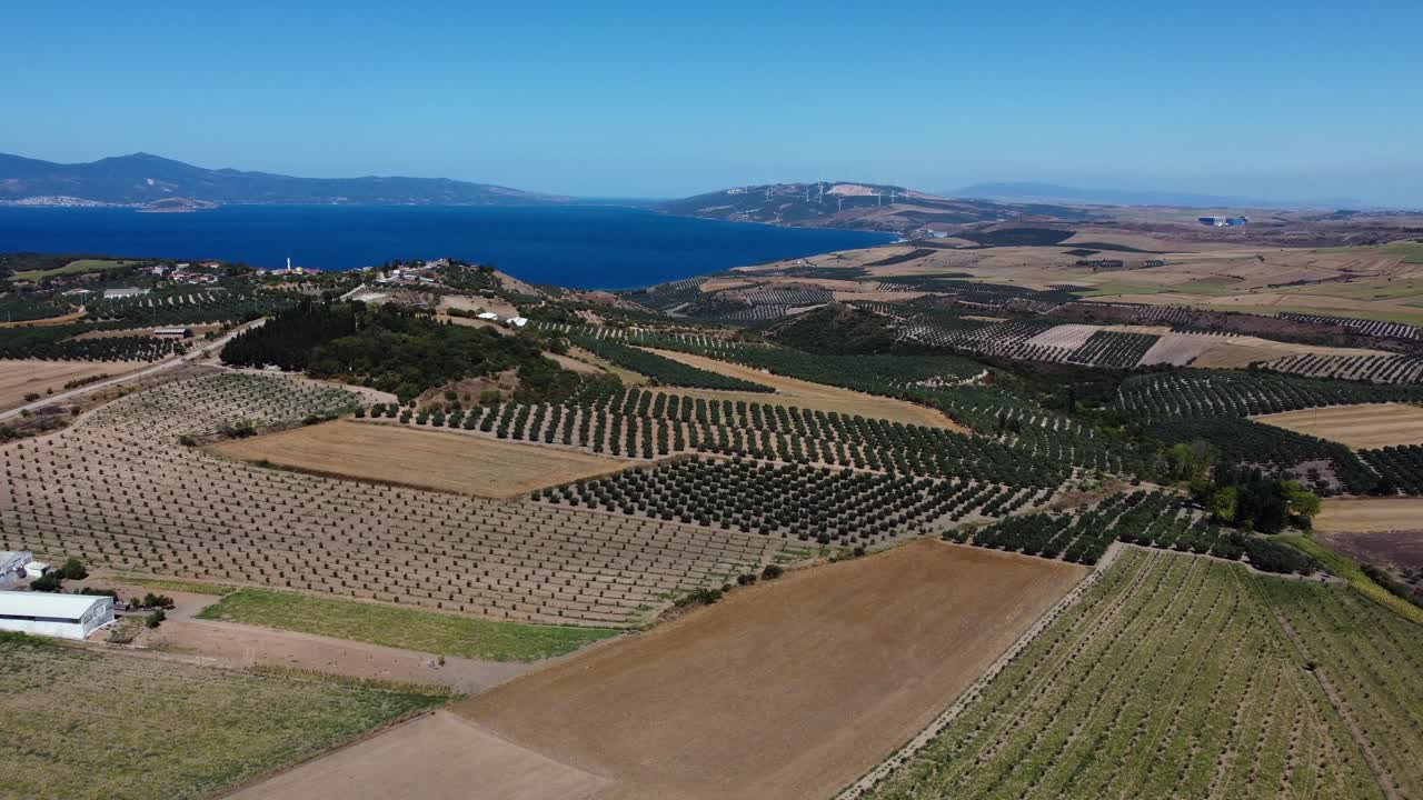 Panoramic drone view of summer fields in Marmara region, Turkey