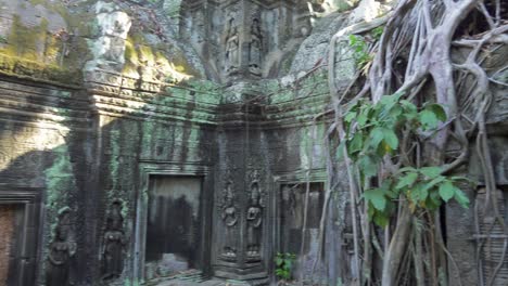 ta prohm temple in angkor wat, cambodia