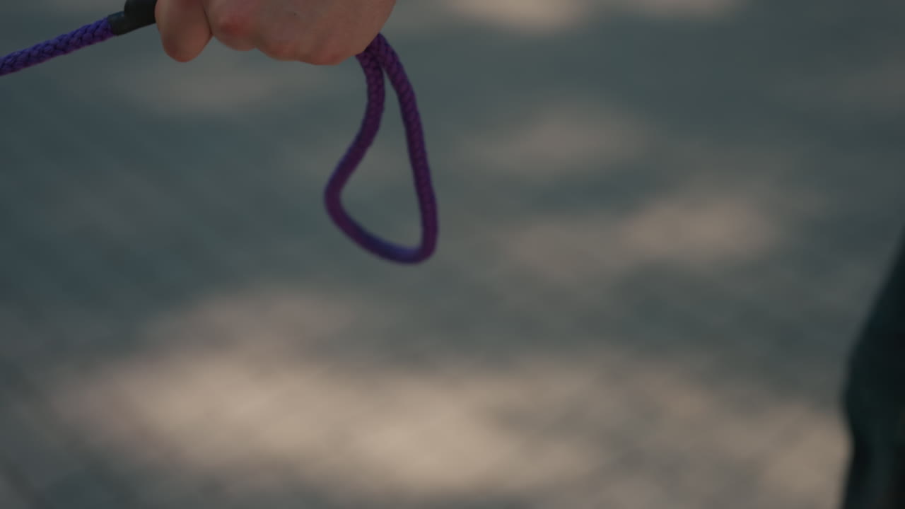 Крупный план поводка для собаки, владелец готовится к прогулке, человек держит фиолетовый поводок на тротуаре, готовясь к прогулке, крупный план человека с фиолетовым поводком и джинсовым рукавом, готового к прогулке