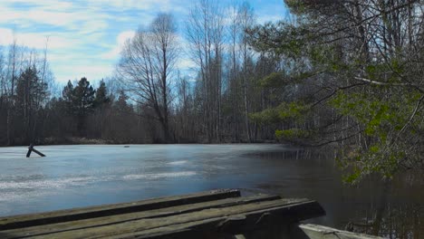 gorgeous and calming footage of a small frozen lake with shallow ice on top of it during spring time when ice and snow is melting at bog marshland at pääsküla in estonia. sun shining in the forest.