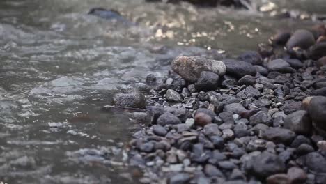 fresh mountain stream. can be used for relaxation