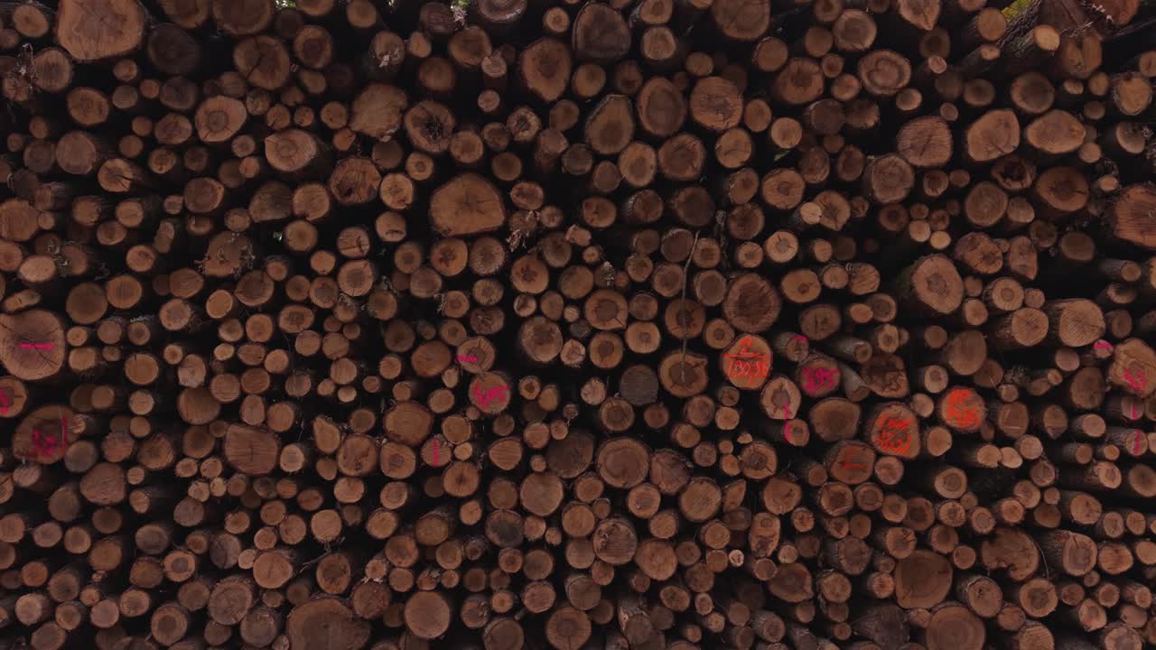A close-up video of stacked firewood logs showing natural textures and detailed tree rings. The wood surfaces display varying shades of brown, creating a rustic and organic background pattern