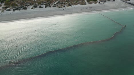 Toma-Aérea-En-órbita-De-Nadadores-En-Una-Zona-Oceánica-Protegida-Con-La-Playa-De-Coogee-Al-Fondo---Australia-Occidental-Durante-La-Madrugada