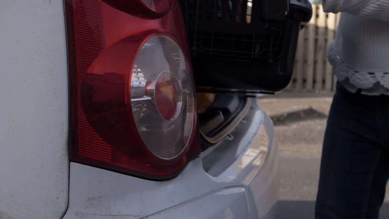 mujer sacando un porta mascotas del maletero del coche primer plano