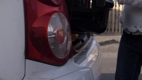 woman taking pet carrier out of car boot close up shot