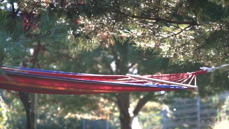 Luz-Solar-Brillante-Golpeando-La-Hamaca-Roja-Atada-Y-Colgada-En-El-árbol-En-Verano