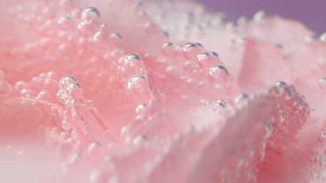 pink flower petals with bubbles