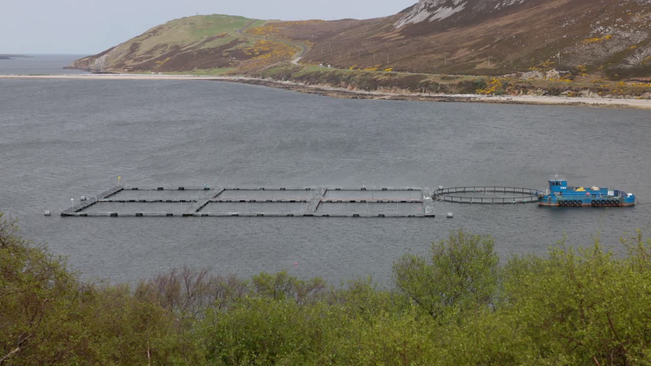 close-up of a multinet fish farm in the Scottish Highlands on the NC500