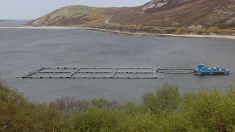 close-up of a multinet fish farm in the scottish highlands on the nc500