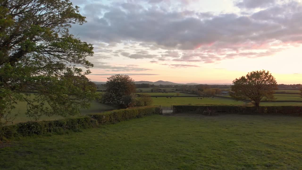 volando sobre la verde campiña irlandesa