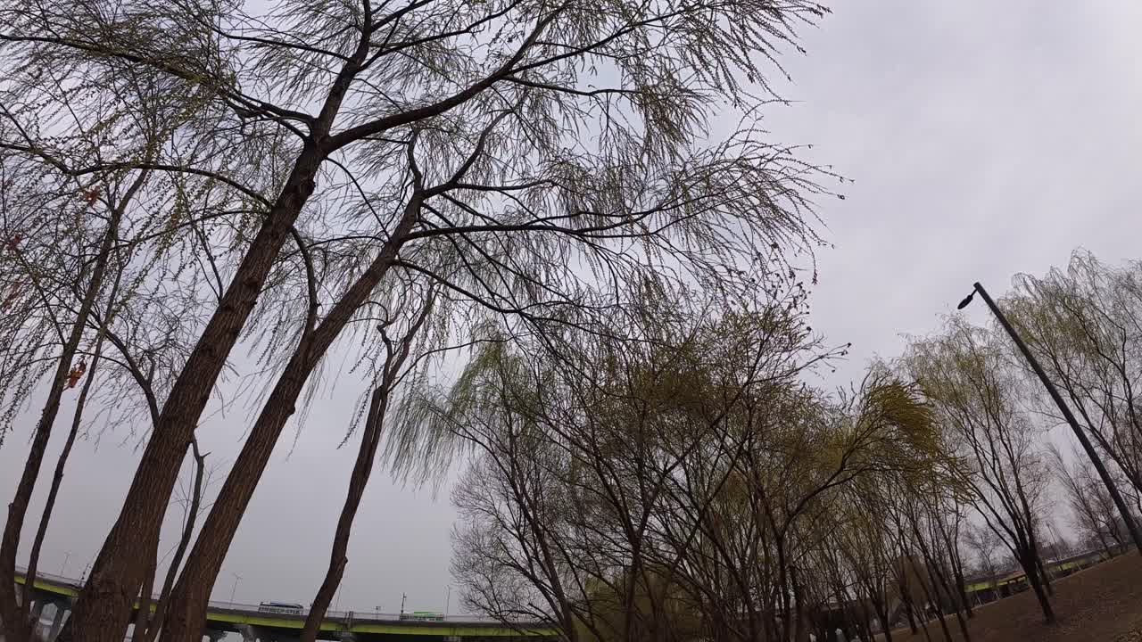 Visiting Yanghwa Hangang Riverside Park In Seoul, South Korea - POV