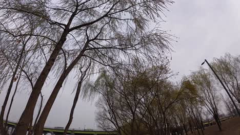 visiting yanghwa hangang riverside park in seoul, south korea - pov