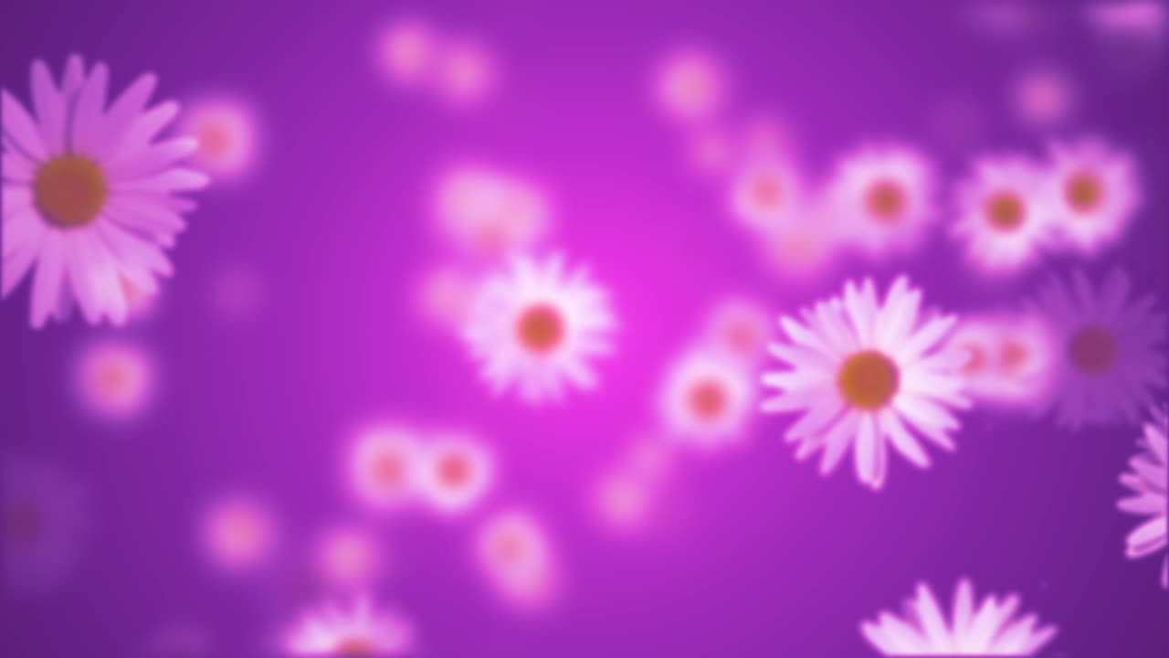 las flores de margarita girando