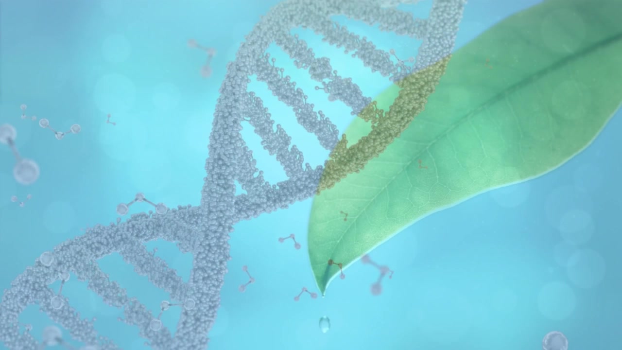 Animazione di una doppia elica di DNA che ruota su coriandoli che cadono su uno sfondo blu
