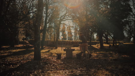 amplia cámara lenta que establece una toma acercándose a un joven cineasta caucásico sosteniendo un cardán con una cámara de video trepando una mesa en un bosque durante la temporada de otoño al atardecer