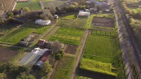 vegetable plot grown on farmland along railway at sunset, buenos aires in argentina