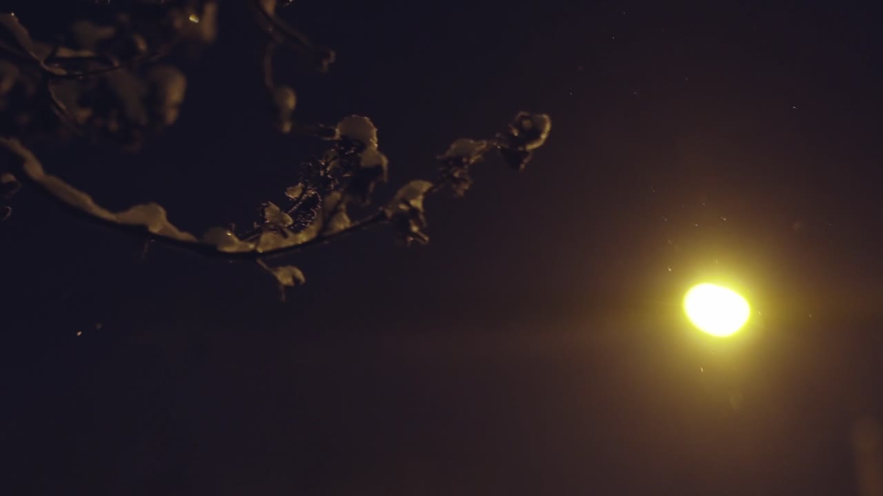 noche oscura de invierno con nieve en las ramas de los árboles a la luz del poste de la calle