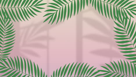 animation of green leaves over moving shadows on pink background