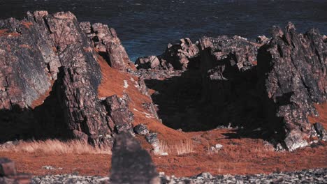 an alien, outlandish landscape of the varanger coast